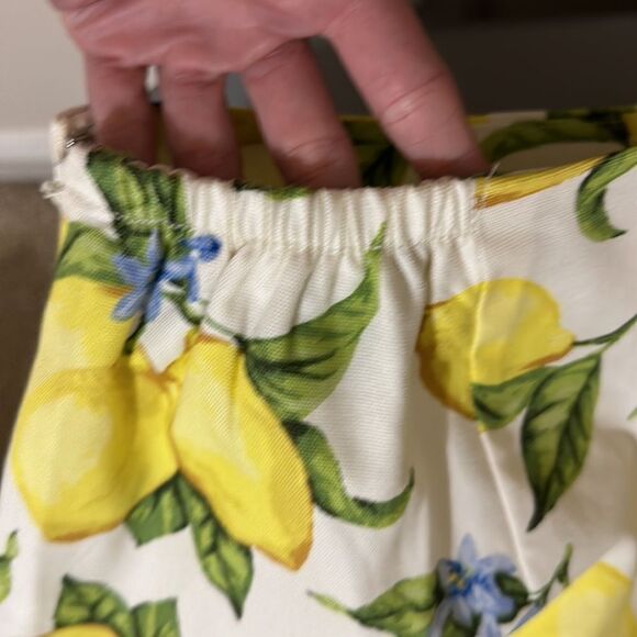 NWT Talbots Lemon Skirt - Picture 7 of 8